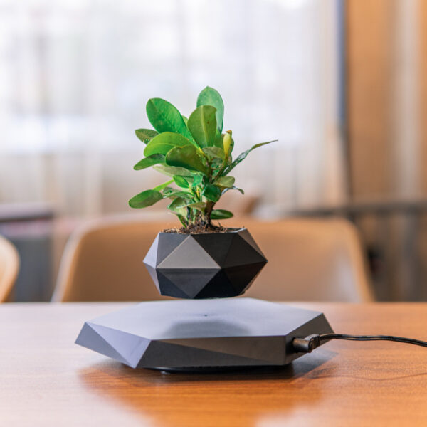 Floating Flower Pot - Image 6