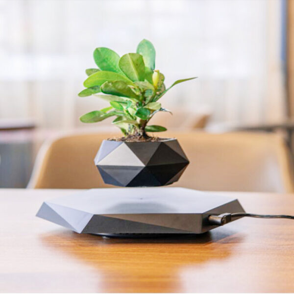 Floating Flower Pot - Image 7