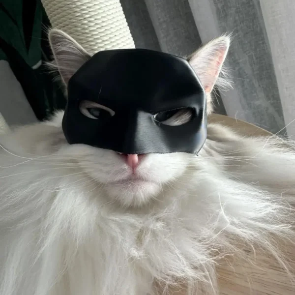Bat Cat mask - Image 2