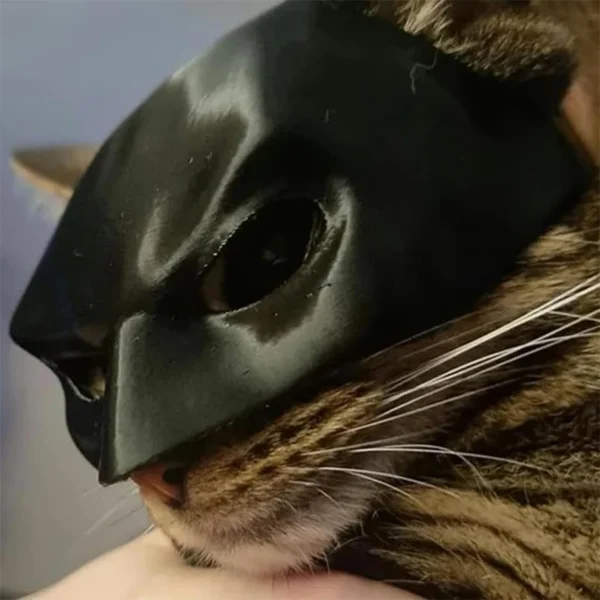 Bat Cat mask - Image 5
