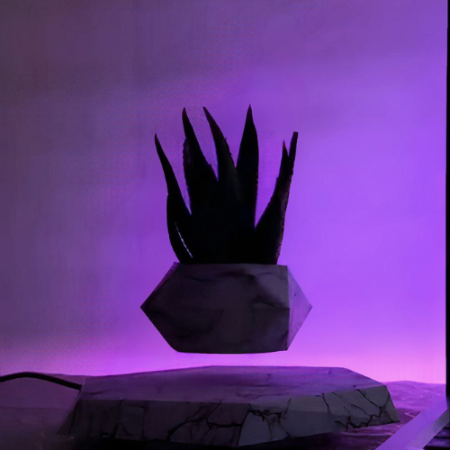 طراحی بدون عنوان floating pot in the vlaorria